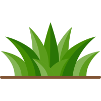 pictogramme d'une touffe d'herbe