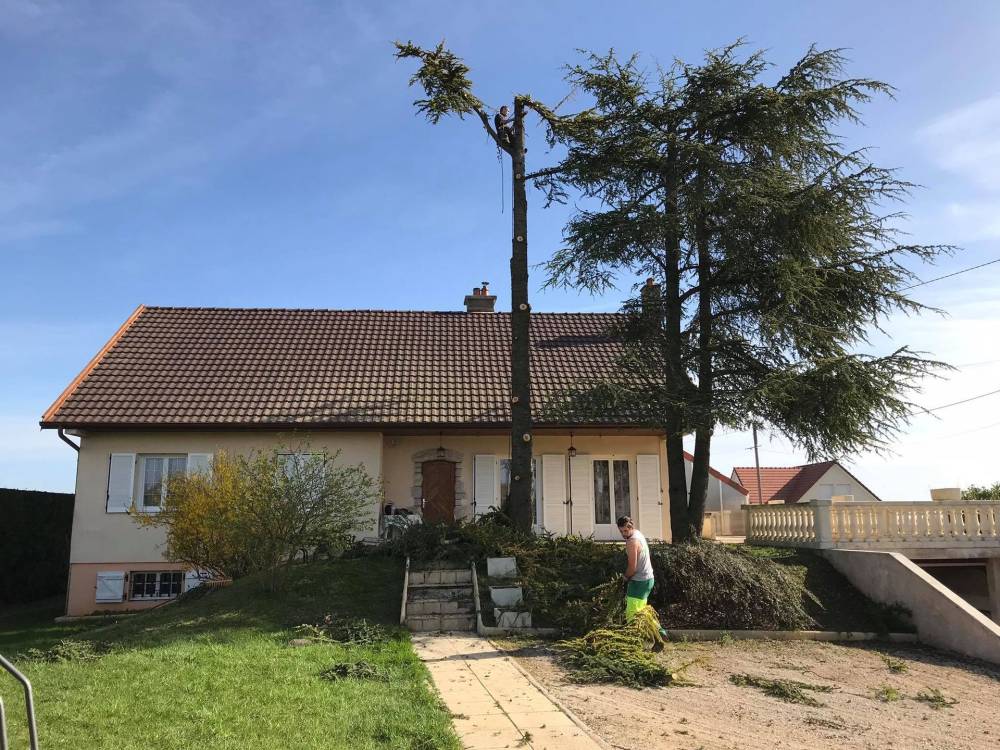 entretien de jardin